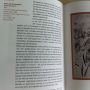 mijn tekening "Milde Luft, Spaziergänge, dunkle Zimmer" in boek: 25 jaar Stadscollectie @Boijmans...