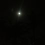 Sitting in the Bahamas looking up at the most amazing full moon ever
#happyfullmoon