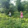 Adventurers
