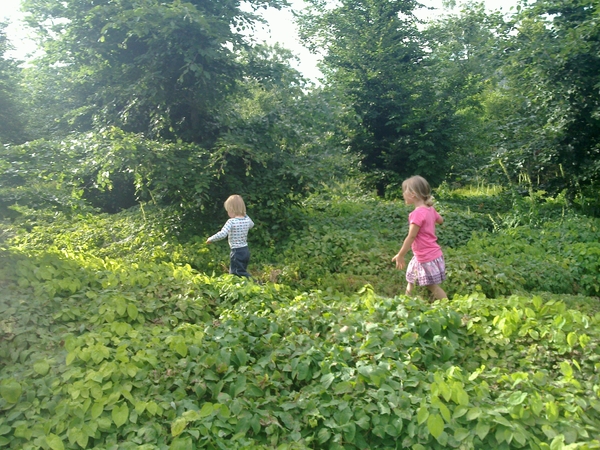 Adventurers
