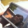 design talk with @gisellejo in the sun