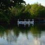 Het zwaan-concept in een georganiseerd recreëren-park in de vrije natuur (waar de #NAC13-conferentie is)