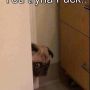 RT @Access_TENEied @tooezzzy as soon as I graduate I need to relocate lol<==be like that hell...aye but before u leave 
