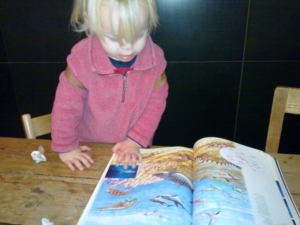 Vissenboek #mika