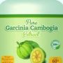 Best weight loss supplements