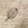 Cement Leaf. 