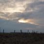 Standing Stones haben wir hier zwar nicht, dafür aber Standing Poles. ;-) #Dithmarschen #Nordsee 