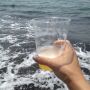 海、ビール。
太陽、空、大漁のお魚。