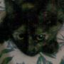 Este es mi gatita "
Danna". No es de una raza
concreta, sin embargo, es
unica mi mejor amiga.