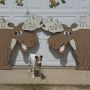 Cut out Moose for Freeport Moose Lodge to use on their parade floats!