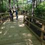 New bridges at Island Lake #Orangeville are stunning! Folks wowed by the boardwalks through the islands @CVC_CA