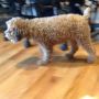 Dogs and ping pong tables. Have seen many of each at NYC startups this week. This guy belongs to @2Uinc -