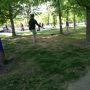 The park is filled with white people tying ropes between trees and trying to walk the tightrope.