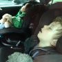 Dat je even met de kids naar de geitenboerderij wil gaan