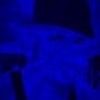 #Fame #Blue #Rockstar