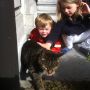Monkeys and a cat by mathys