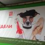 Оч похожа на мою собачку :) 