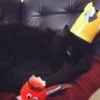 Wel heel grappig, dit fotootje van Poes werd bij #nos getoond in een social media overzicht met dierenfoto’s #troon
