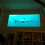 watching Oceans with Mika... he's narrating the whole thing