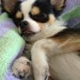 寝る子は育つ…^_^
口半開き…ヨダレでそう。笑