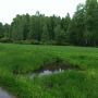 Холодно и парк пустынный  by olyapka