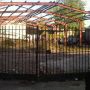 Plot 3 - mapping party #growingcultures