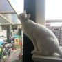 Test van #janetter... Foto upload test 