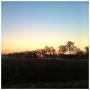 Sunrise @ Veluwe #iphoneography #winter