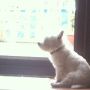@Bazthecab his sitting by the back door sulking. Full up, but sulking!