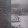 Zal dit de laatste sneeuwfoto zijn van deze winter? Hoog 2. #020 #arena