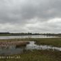 Markdal bij Breda onder de bewolking.