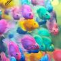 أسماك القوس قزح The Rainbow Fish من أجمل أنواع الأسماك تتميز بألوانها المتعددة والجذابه  وتستخدم غالباً لاحواض الزينه