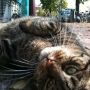 extreme flirt #lola