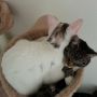 Nog 1 voor de duidelijkheid dat we echt SAMEN slapen :) #CatsRuleQueenDay