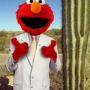 @Msdeebers is it Elmo ? 