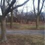 Common to get this close to the deer in the forest preserve, uncommon to have enough light to photograph. 