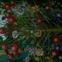 ada pohon telur d rumah \(^o^)/ hahaha... keren euy...
