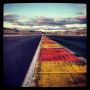#valencia #testing #sunset #honda #thepowerofdreams #tiago18  @hondaracingwtcc  #WTCC