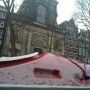 Rust weer wedergekeerd #duif #momo