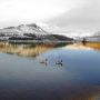 #Dovestones réservoir today as the snow melts away. Fantastic place as ever.
#Manchester 