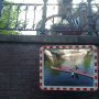 Touring the canals #derirrom #kayak