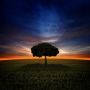 @curious1966 I can feel the goodness over the badness this morning and you?