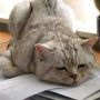 @cici_lovee but I'm all like this