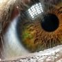 Mi ojo, sacado con el Galaxy S3, no es el hardware, no es el OS... Es saber manejar los fierros
