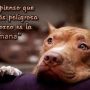 Eso no lo dudo... Así es!
