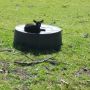 King of my castle #spring