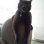   test van moby instant