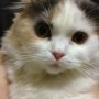 愛しいキミ♥