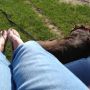 @chantalcoolsma Even terug pesten… ;-)