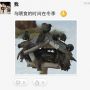 bird feeding in wintertime
yes, i am in chinese #QQ and #Weibo ☯